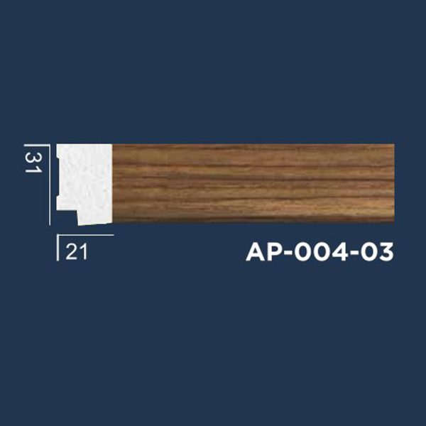 AP-004-03 1